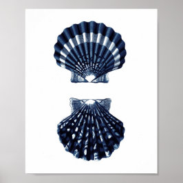 Clam Muscheln Navy Blue Beach Dekoration