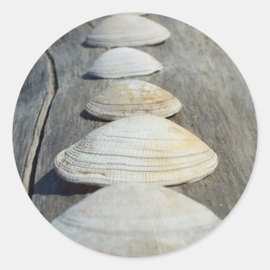Clam Muscheln Stickers (Vorderseite)