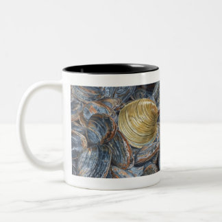 Clams and Quahog Shell Zweifarbige Tasse