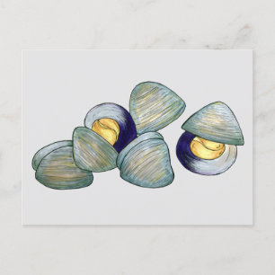 Clams Clambake Rhode Island New England Meeresfrüc Postkarte