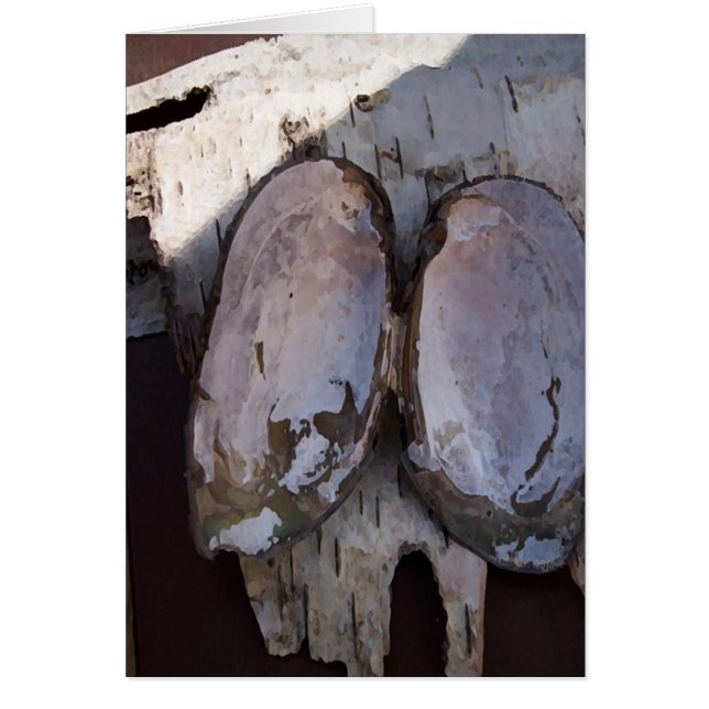 Clamshell Wings (Vorne)