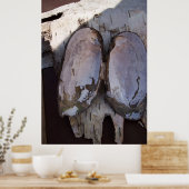 Clamshell Wings Poster (Küche)