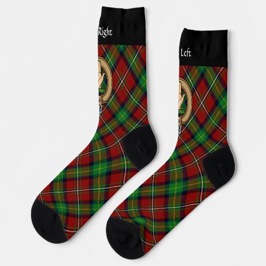 Clan Boyd Wappen über Tartan Socken (Linkes Detail)