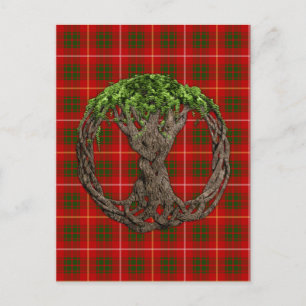 Clan Bruce Tartan und keltischer Baum des Lebens Postkarte