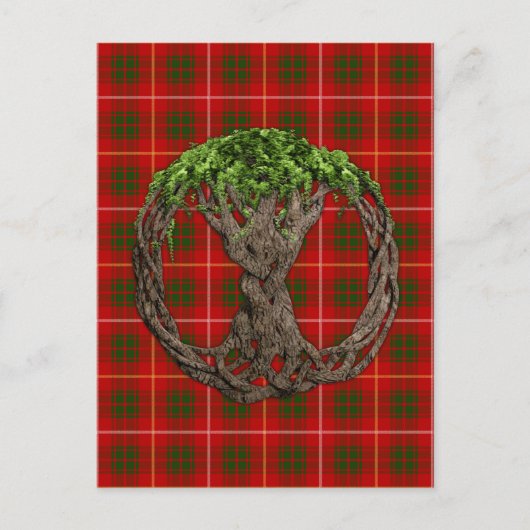 Clan Bruce Tartan und keltischer Baum des Lebens Postkarte (Vorderseite)