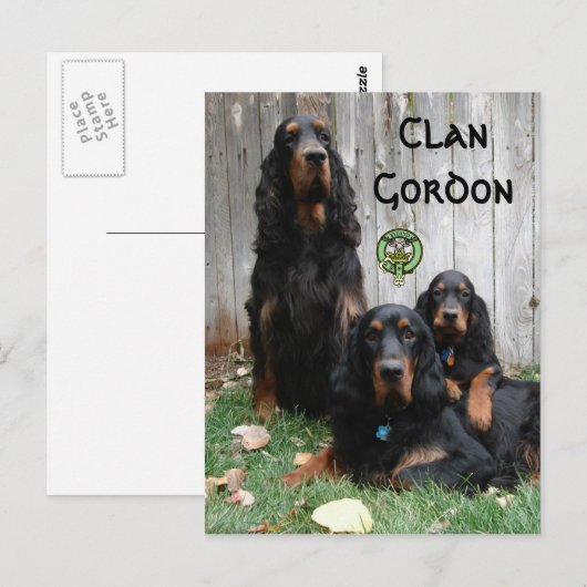 Clan Gordon, Gordon Setter Generationen Postkarte (Vorne/Hinten)