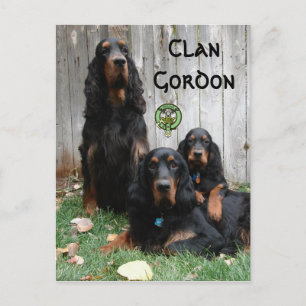 Clan Gordon, Gordon Setter Generationen Postkarte