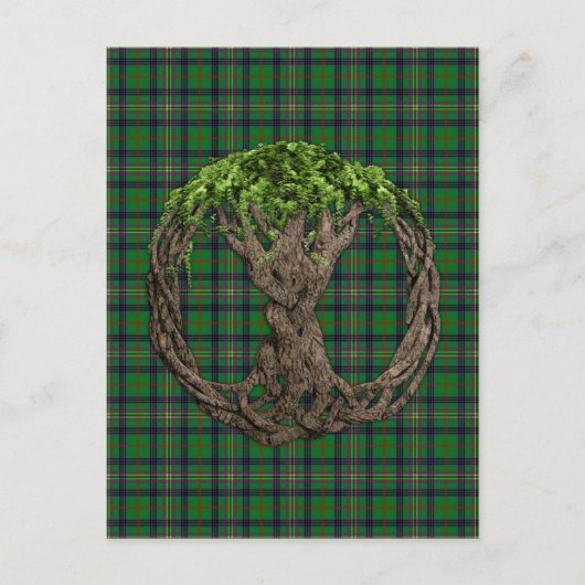 Clan Kennedy Tartan und keltischer Baum des Lebens Postkarte (Vorderseite)
