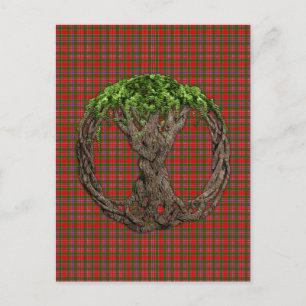 Clan MacAlister Tartan und keltischer Lebensbaum Postkarte