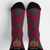 Clan MacDougall Wappen über Tartan Socken (Oben)