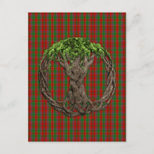 Clan Munro Tartan und keltischer Lebensbaum Postkarte