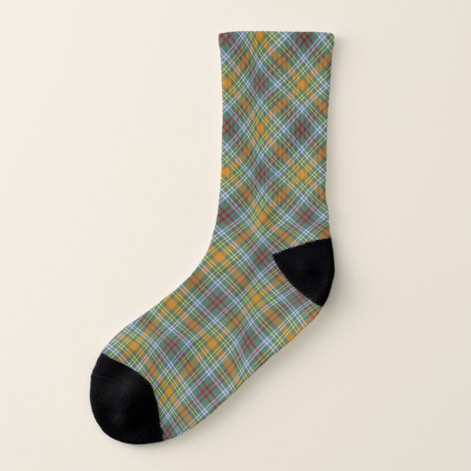 Clan O'Brien Tartan Socken (Links - Außen)