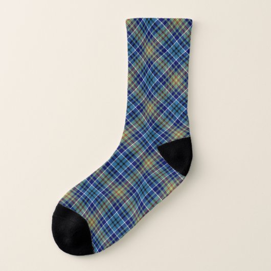 Clan O'Sullivan Tartan Blue Plaid Socken (Links - Außen)
