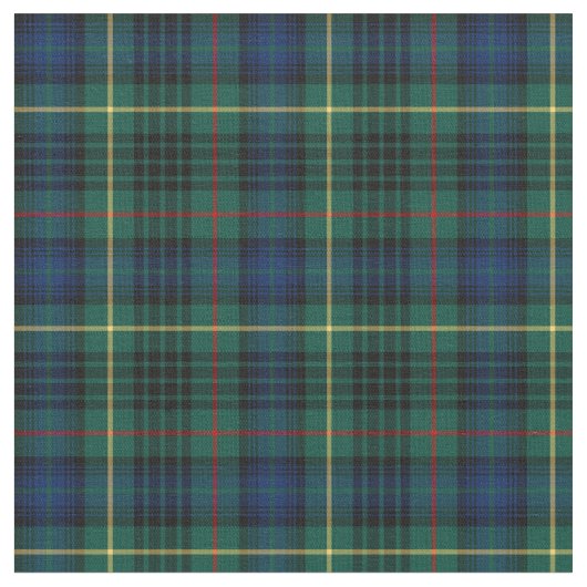 Clan Stewart Hunting Tartan Stoff (Nahaufnahme)