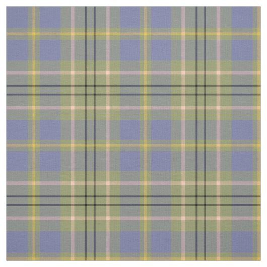 Clan Taylor Tartan (alt) Stoff (Muster)