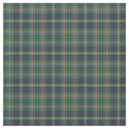 Clan Taylor Tartan Stoff (Nahaufnahme)