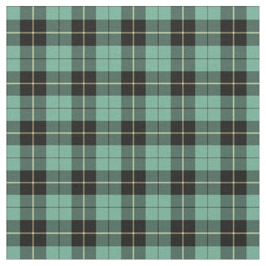 Clan Wallace Ancient Jagd Tartan Stoff (Nahaufnahme)