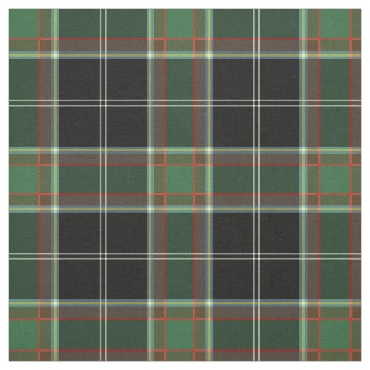 Clan Webster Tartan Stoff (Muster)