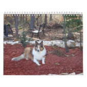 Clancey2 Kalender (Titelbild)