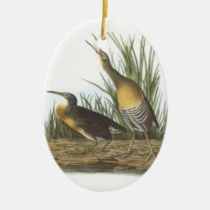Clapper Rail von Audubon Keramik Ornament
