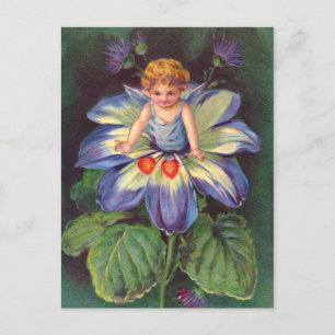 Clapsaddle: Aster-Blumen-Cherub Postkarte
