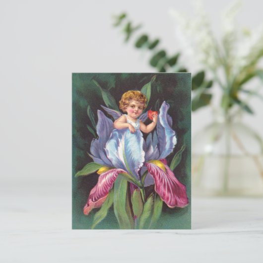 Clapsaddle: Blume Cherub Iris Postkarte (Stehend Vorderseite)