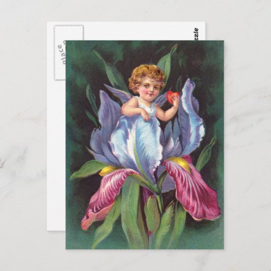Clapsaddle: Blume Cherub Iris Postkarte (Vorne/Hinten)