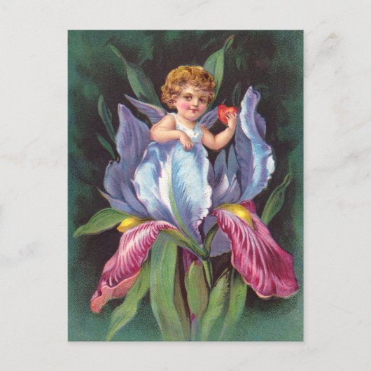 Clapsaddle: Blume Cherub Iris Postkarte (Vorderseite)
