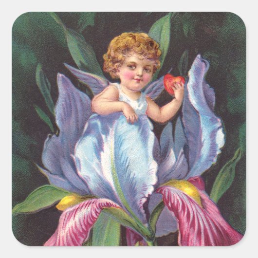 Clapsaddle: Blumen-Cherub Iris Quadratischer Aufkleber (Vorderseite)