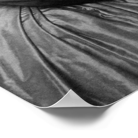 Clara Barton Reading Portrait - 1865 Poster (Ecke)