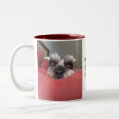 Clarabelle Schnauzer-Rettungs-Tasse Zweifarbige Tasse (Links)