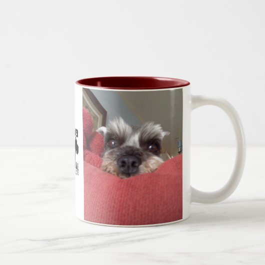 Clarabelle Schnauzer-Rettungs-Tasse Zweifarbige Tasse (Rechts)