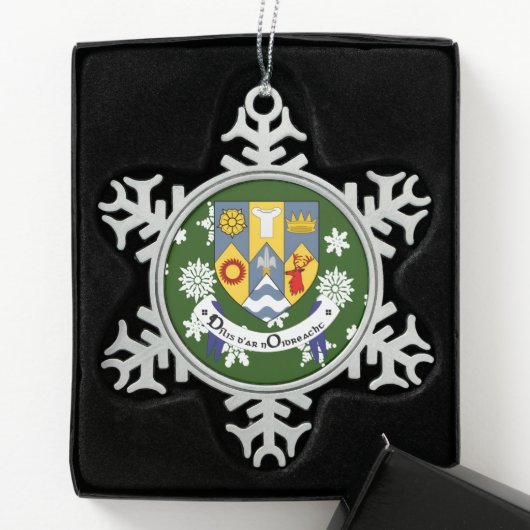 Clare Ireland Wappen Irish Schneeflocken Zinn-Ornament (Box)