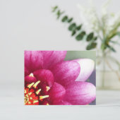 Claret Cfarbige Water Lily Postkarte (Stehend Vorderseite)