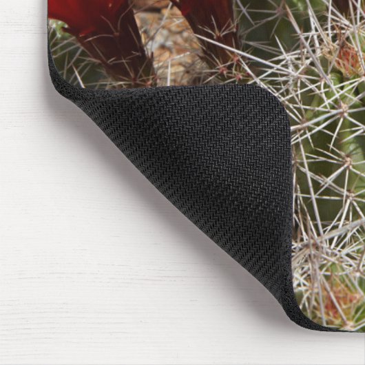Claret Cup cactus Blume 2 Mousepad (Ecke)