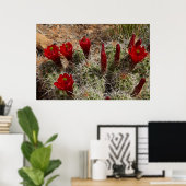 Claret Cup cactus Blume 2 Poster (Heimbüro)