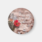 Claret Cup Cactus in Colorado Magnet (Vorne)