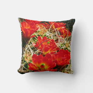 Claret Cup Cactus Wildblumen Kissen