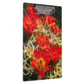 Claret Cup Cactus Wildblumen Klemmbrett (Rechts)