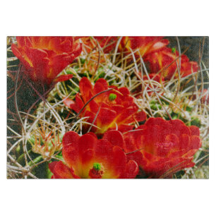 Claret Cup Cactus Wildblumen Schneidebrett