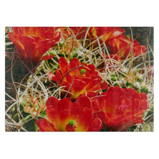 Claret Cup Cactus Wildblumen Schneidebrett (Vorderseite)