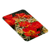 Claret Cup Kaktus Wildblumen Magnet (Rechte Seite)