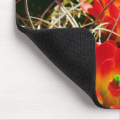 Claret Cup Kaktus Wildblumen Mousepad (Ecke)