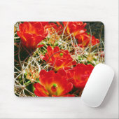 Claret Cup Kaktus Wildblumen Mousepad (Mit Mouse)