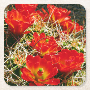 Claret Cup Kaktus Wildblumen Rechteckiger Pappuntersetzer