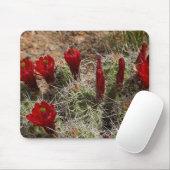 Claret Cup Kaktusblüten 2 Mousepad (Mit Mouse)