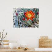 Claret Cup Poster (Küche)