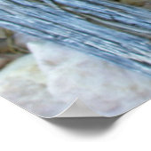 Claret Cup Poster (Ecke)