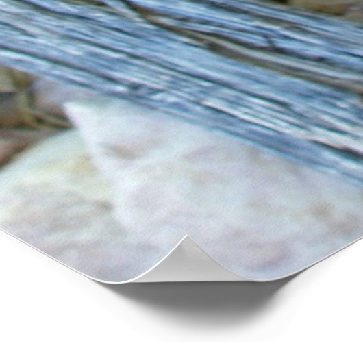 Claret Cup Poster (Ecke)