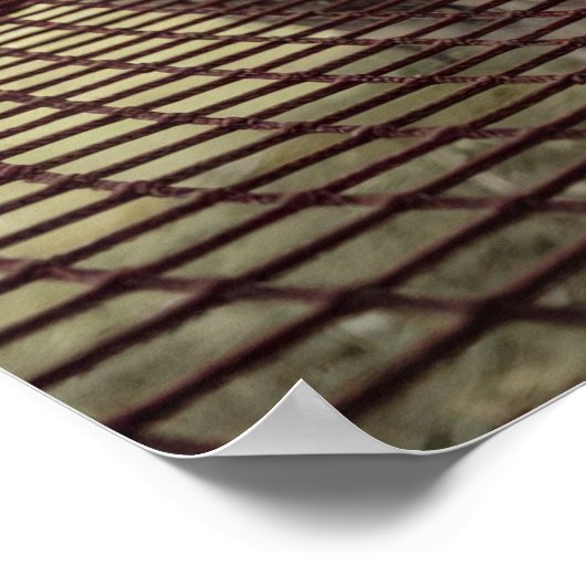 Claret Hammock Digital Foto Poster (Ecke)